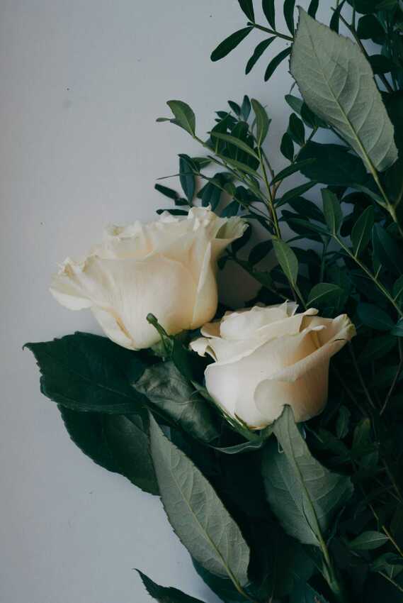 Coleccion Novias GiLCol Confecciones